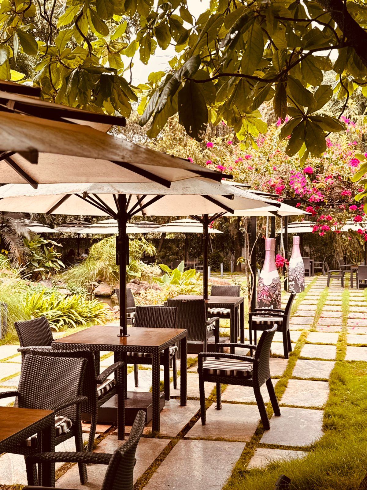 Vineyard Tour + Brunch | Grover Vineyards - 3